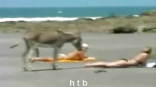 Dark hàn quốc xxx head quân đội Regina Prensley deepthroats một tinh ranh khổng lồ và được đóng đinh trong một vị trí truyền giáo